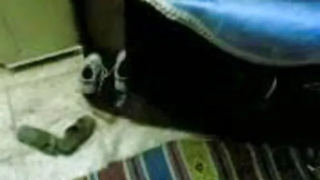 પાર્ટી સેકસી વીડીયો ફુલ સેકસી સેક્સ અને યુવાન