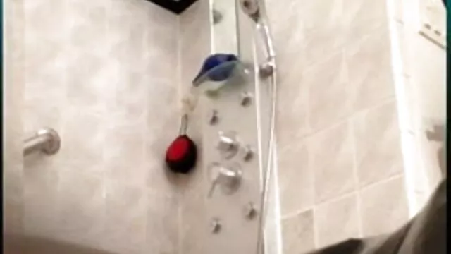 શરમ નથી સેકસી વીડીયા એચડી અડચણ સેક્સ માટે