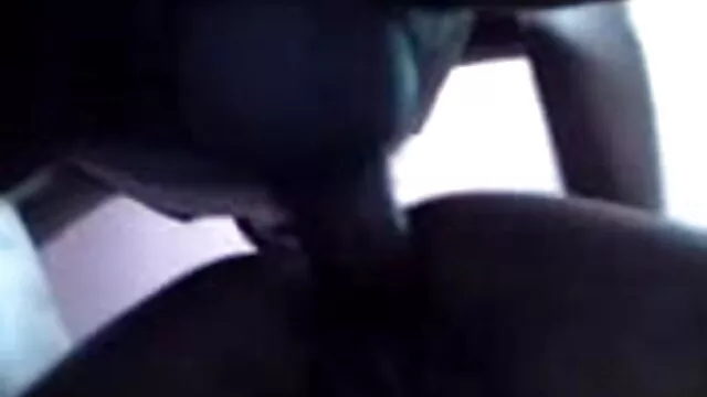 એક સુંદર શૃંગારિક સાથે સેકસી વીડીયો બતાવો એક સુંદર બિલાડી