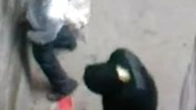 સાથે ફોન પર વાત તેના પતિ ગુજરાતી સેકસી ફુલ વીડીયો અને અફેર કર્યા