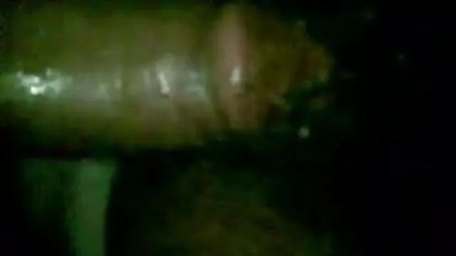 સુંદરતા શો માં પોતાની હિન્દી વીડીયો સેકસી ફ્રન્ટ કેમેરા