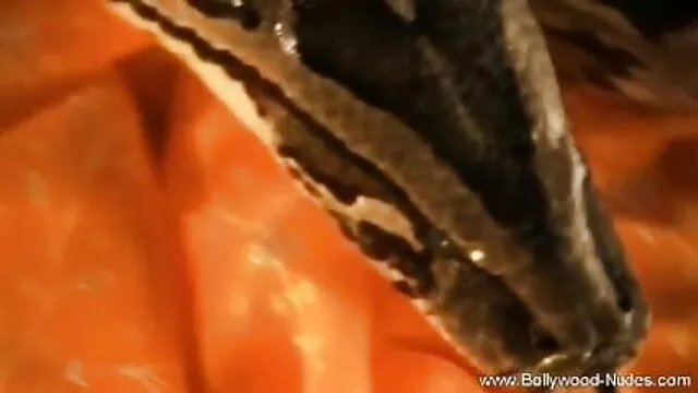 શૃંગારિક મસાજ સેકસી વીડીયો બતાવો સુંદર