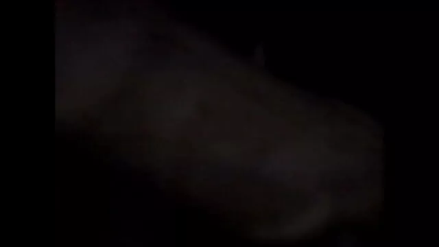 સુધી ગાંડ સેકસી વીડીયો બ્લુ પિક્ચર