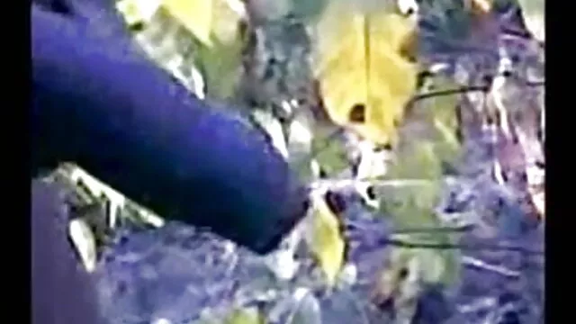 છોકરી બતાવે છે અને યોનિ સેકસી વીડીયો ફુલ સેકસી વીડિયો કે ગુદા