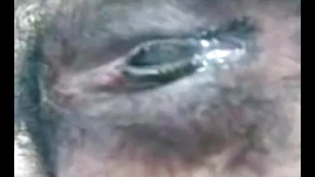 મમ્મી મારે તને ચોદવિ છે પુખ્ત સેક્સ પ્રેમ એચડી બીપી વીડીયો સેકસી