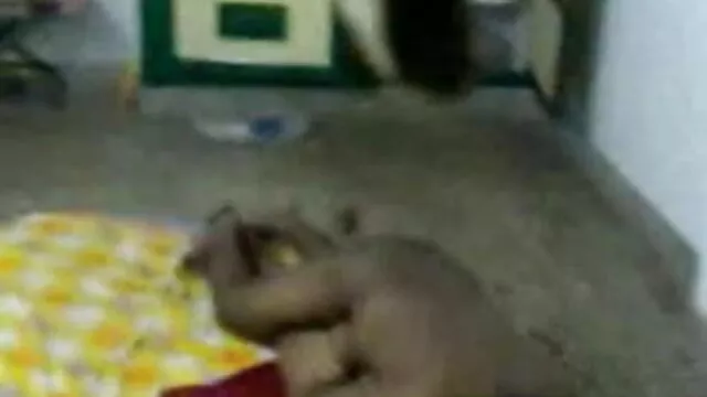 મનોરંજન ઓપન વીડીયો સેકસ મુશ્કેલ