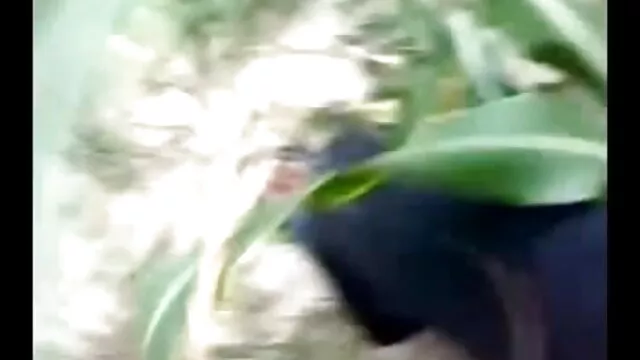 વીર્ય ના સની લિયોન સેકસી બીપી વીડીયો જલધારા યોનિ લેટિના