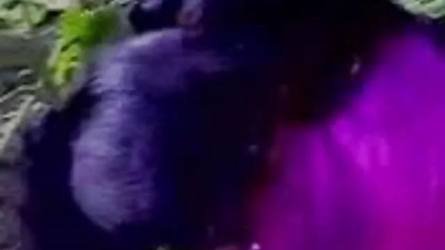 એરોટિકા સુંદર બ્રાઉન વાળ સાથે નરમાશથી બીપી વીડીયો સેકસી ફુવારો