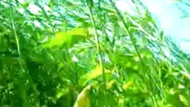 માલિશ સેક્સ યોનિમાર્ગ વીડીયો સેકસ