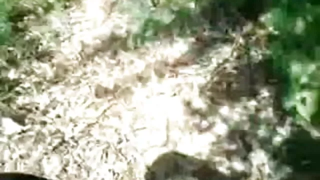 બોન્ડ અને હાર્ડ સેકસી વીડીયો મુકો સેક્સ માટે વાળ વાળી કિશોર કે કિશોરી