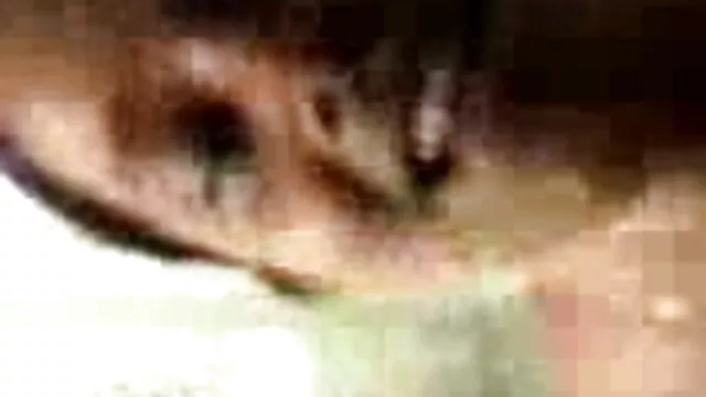 શીખવાની પ્રક્રિયા એક્સ એક્સ વીડીયો સેકસી ચાલુ છે માં એક લિંગ