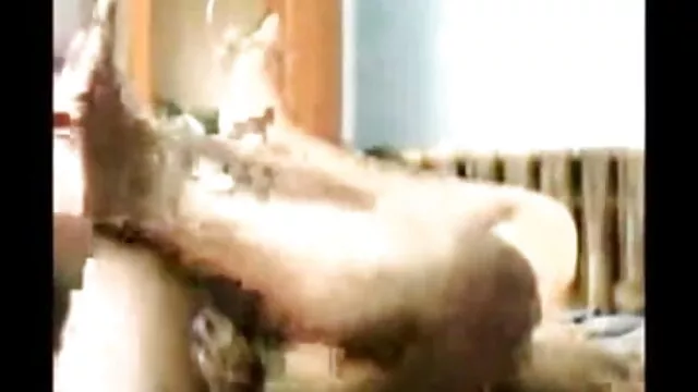 હાથ થી ચોદવુ ગુણવત્તા સેકસી વીડીયો હિન્દી માટે ડિક માણસ