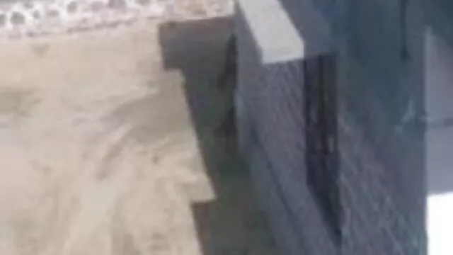 એલ્યુમની બેઠક યોજાઇ સમૂહ ઓપન વીડીયો સેકસી ચોદન