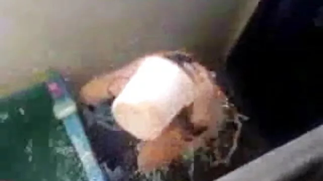 વિડિઓ સાથે સેકસ વીડીયો બતાવો સેક્સ માણી એક બેડ